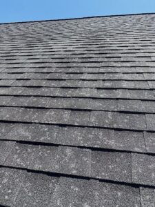 Hail splatter damage to an asphalt shingle roof.