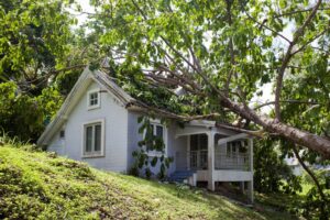 A tree leans against a house that needs to file a storm damage insurance claim