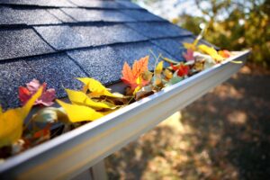 autumn leaves in gutters of roof