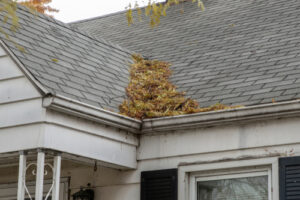 debris and leaves are piled on a roof